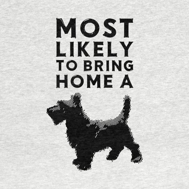 Most likely to bring home a scottish terrier (scotty) by chapter2